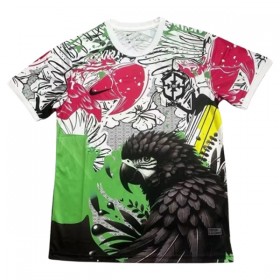 Camisola Brasil x Parrot 2025 Manga Curta Especial