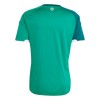 Camisola Irlanda do Norte Equipamento Principal Copa do Mundo 2026 Manga Curta