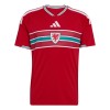 Camisola País de Gales Equipamento Principal Copa do Mundo 2026 Manga Curta