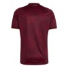 Camisola Venezuela Equipamento Principal Copa do Mundo 2026 Manga Curta