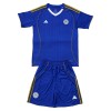 Camisola Leicester City Criança Equipamento Principal 2025-26 Manga Curta