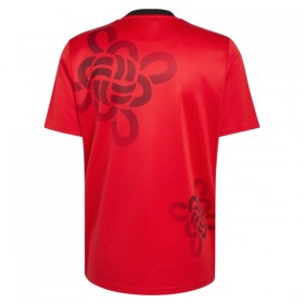 Camisola Manchester United Chinese Lucky Knot 2026 Especial Manga Curta