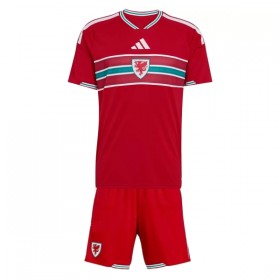 Camisola País de Gales Criança Equipamento Principal Mundial de 2026 Manga Curta