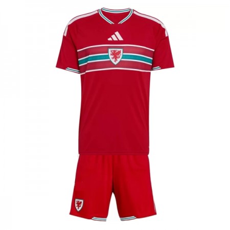 Camisola País de Gales Criança Equipamento Principal Mundial de 2026 Manga Curta