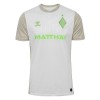 Camisola Werder Bremen Equipamento Alternativa 2025-26 Manga Curta