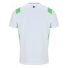 Camisola Irlanda Equipamento Alternativa 2026-27 Manga Curta