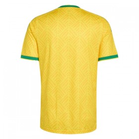 Camisola África do Sul Equipamento Principal Mundial de 2026 Manga Curta