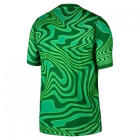 Camisola Brasil Guarda Redes Equipamento Principal Mundial de 2026 Verde Manga Curta