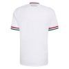 Camisola Hungria Equipamento Alternativa Mundial de 2026 Manga Curta
