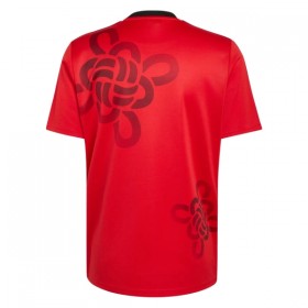 Camisola Manchester United Cultural Story 2025-26 Especial Manga Curta