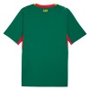 Camisola Senegal Equipamento Alternativa Mundial de 2026 Manga Curta