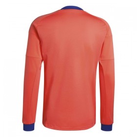 Camisola Alemanha Guarda Redes Equipamento Alternativa Mundial de 2026 Manga Comprida