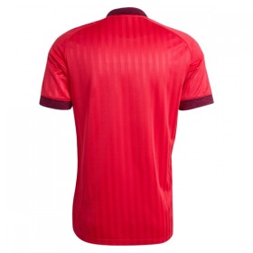 Camisola Olympique Lyonnais Equipamento Alternativa 2026-27 Manga Curta