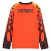 Camisola Borussia Dortmund Guarda Redes Equipamento Principal 2026-27 Laranja Manga Comprida