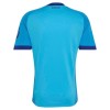 Camisola Real Madrid Guarda Redes Equipamento Alternativa 2026-27 Manga Curta