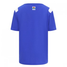 Camisola Cardiff City Equipamento Principal 2026-27 Manga Curta