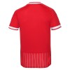 Camisola FC Köln Equipamento Alternativa 2026-27 Manga Curta