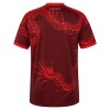Camisola Internacional Equipamento 3ª 2026-27 Manga Curta