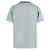 Camisola VfL Wolfsburg Equipamento Alternativa 2026-27 Manga Curta