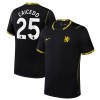 Camisola Chelsea Caicedo 25 Equipamento Alternativa 2026-27 Manga Curta