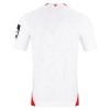 Camisola FSV Mainz 05 Equipamento Alternativa 2026-27 Manga Curta