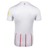 Camisola SC Freiburg Equipamento Alternativa 2026-27 Manga Curta